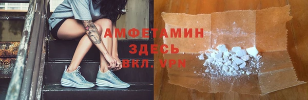 прущие грибы Навашино