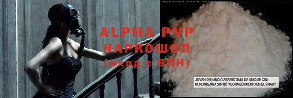 прущие грибы Навашино