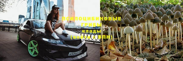 прущие грибы Навашино