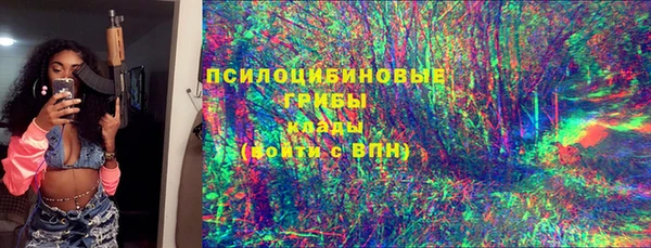прущие грибы Навашино