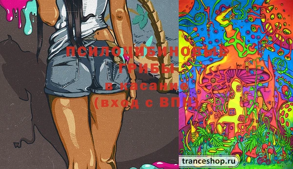 марки lsd Надым