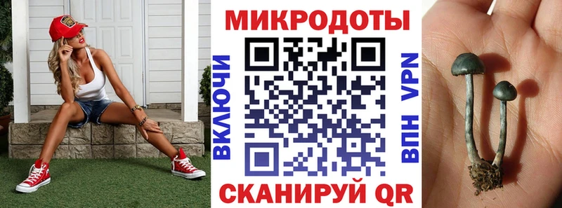 MEGA ССЫЛКА купить закладку Ижевск Галлюциногенные грибы MAGIC MUSHROOMS