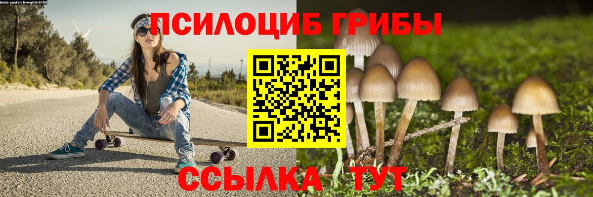 Псилоцибиновые грибы Psilocybe  Галлюциногенные грибы GOLDEN TEACHER  Ижевск  Вход с VPN 